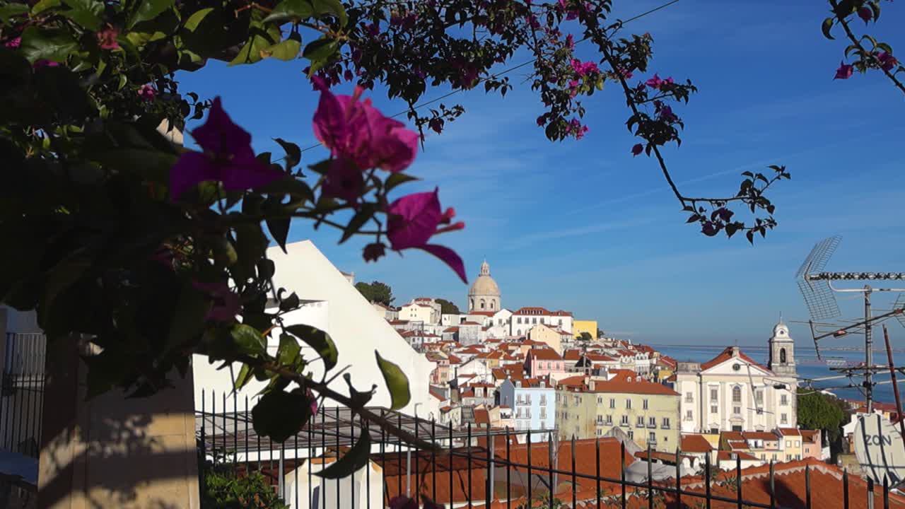 Bela cena de um mirante com vista para os telhados de Lisboa e o Rio Tejo, com flores no primeiro plano em um dia ensolarado e radiante