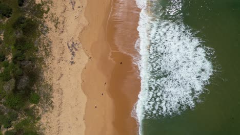 Schaum-Entsteht-Durch-Wellen,-Die-Auf-Putty-Beach,-New-South-Wales,-Australien,-Schlagen