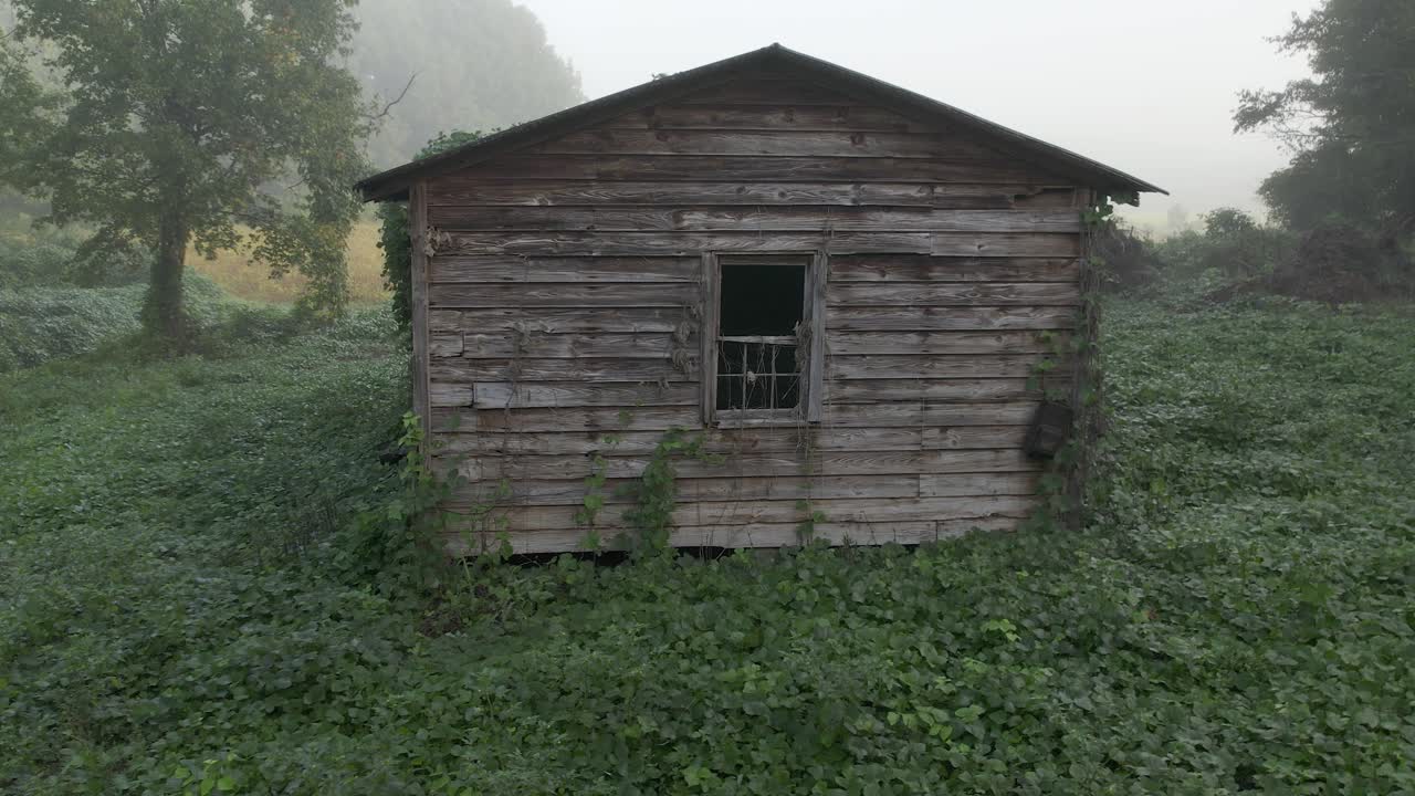 오래된 버려진 역사적인 집은 아침 안개의 밀집한 초록색  ⁇ 에 있습니다.