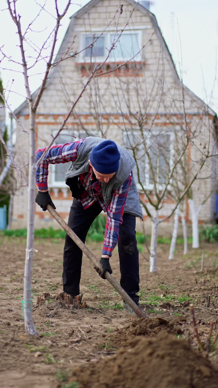 Old farmer digging the ground near the house. Spring preparations in the garden. Vertical video.