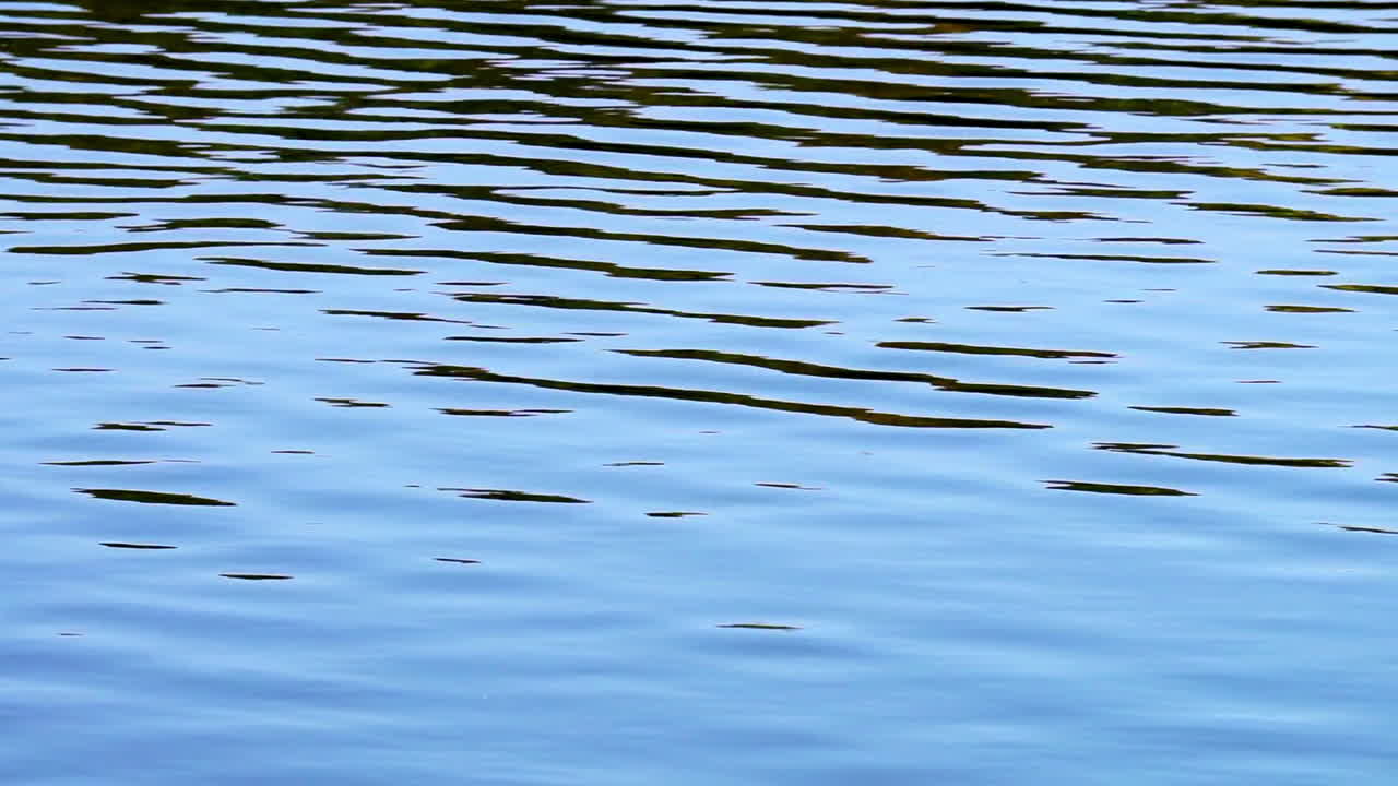 Motivi a zig zag formati dalle increspature dell'acqua.