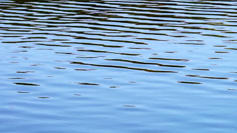 Zig-zag-patterns-formed-by-water-ripples