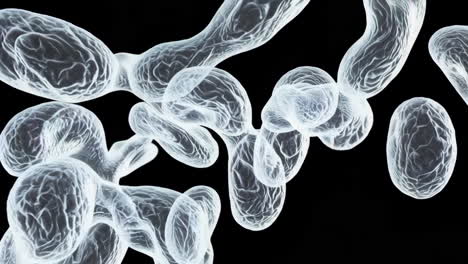 abstract 3d render of cells