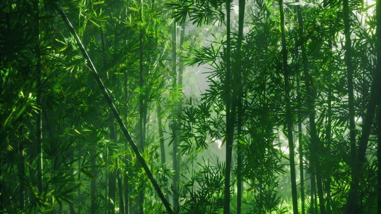 Lush green bamboo forest under soft morning light with vibrant foliage