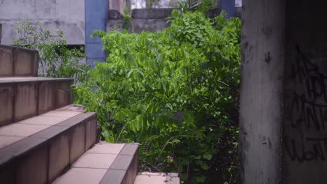 Tilt-Up-Through-Stairs-In-Abandoned-Building-Surrounded-By-Trees