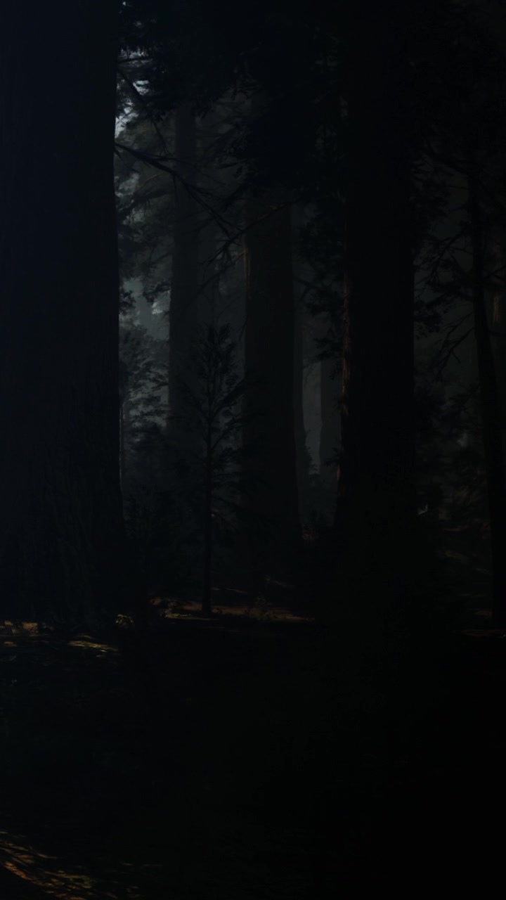 Incantevoli ombre della foresta danzano al chiaro di luna in un ambiente mistico.
