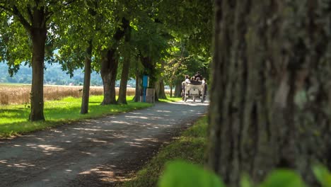 Friedlicher-Blick-Auf-Die-Kutsche,-Die-Sich-Auf-Der-Einsamen-Landstraße-Wegbewegt