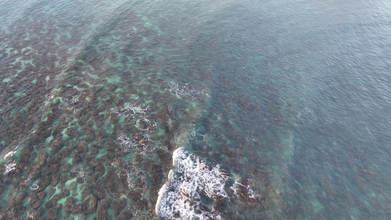 vista panorámica drone aéreo de la playa de lanikai y las islas mokulua en lanikai hawaii al amanecer hermosa playa clara agua palmeras canoas arrecife paraíso propiedad frente al mar