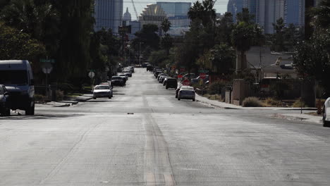empty street with palm trees during covid 19 pandemic
