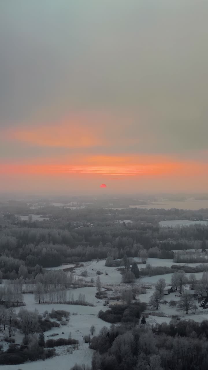 Amazing nature phenomenon of a frozen forest in vibrant sunset. Vertical aerial view of winter landscape with snow covered trees in countryside. Apocalyptic scenery after extreme cold in winter.