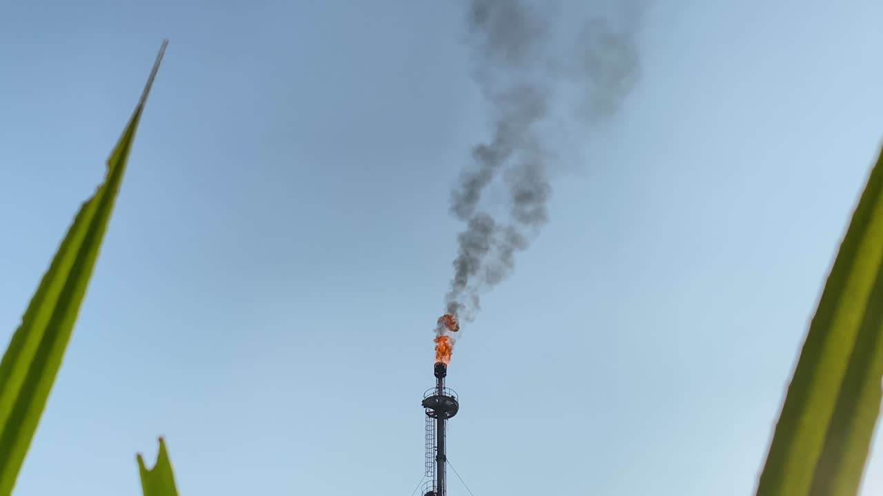 가스 플레어에서 타는 녹색 잔디와 붉은 불꽃의 최소 보기, 확대