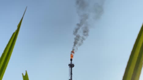 minimal view of green grass and red flame burning from gas flare, zoom in