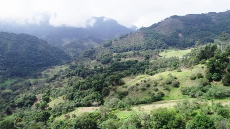 Capturing-green-hills-through-top-of-trees-during-daytime