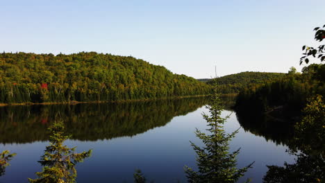 Drone-emerges-through-the-trees-to-reveal-a-pristine-lake,-which-perfectly-reflects-the-forest-on-the-mirro-like-water-surface