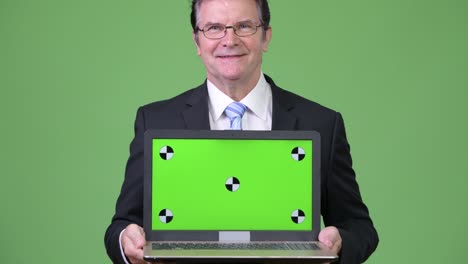 senior handsome businessman showing laptop