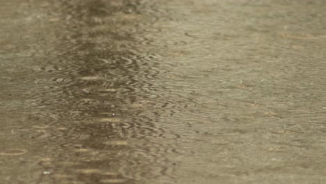 flooded footpath sidewalk in heavy rain close up puddle maffra, gippsland, victoria, australia