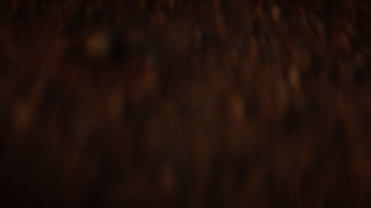 Abstract Dark Brown Gradient Background