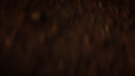 abstract dark brown gradient background