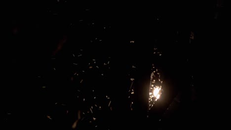 mosquitos voladores, mosquitos en las lámparas de la calle por la noche. 4k