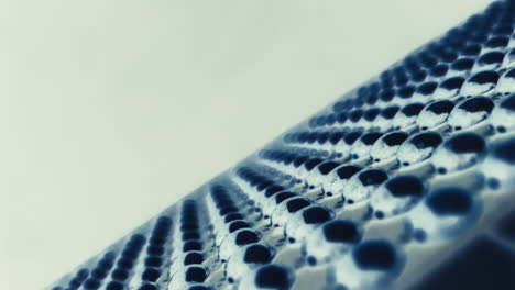 close-up of a patterned surface