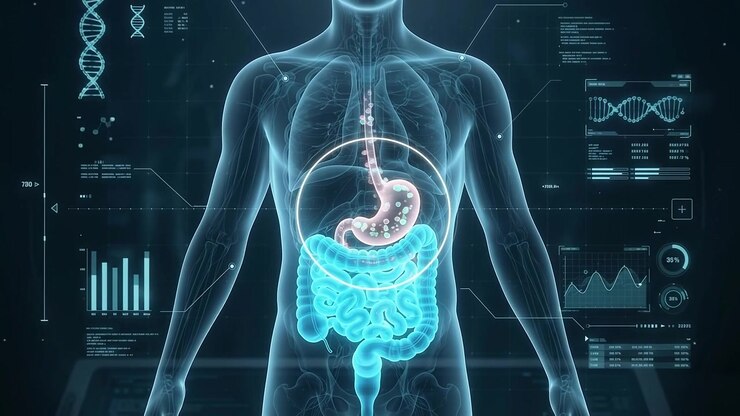 Digital Medical Animation of Human Digestive System Anatomy