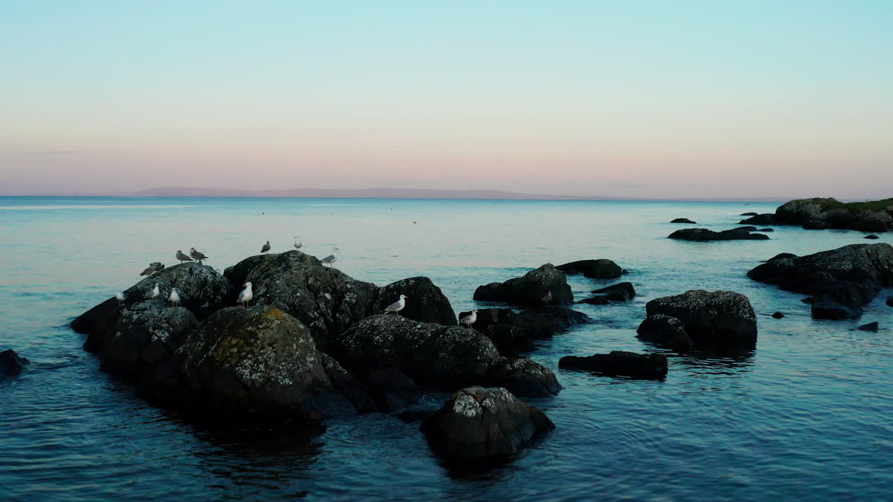 코네마라, 갈웨이, 아일랜드의 아름다움을 발견하십시오. 활기찬 녹색 풍경, 해안의 매력, 그리고 바다표범과 새의 우아한 존재를 포착하는 놀라운 드론 을 통해.
