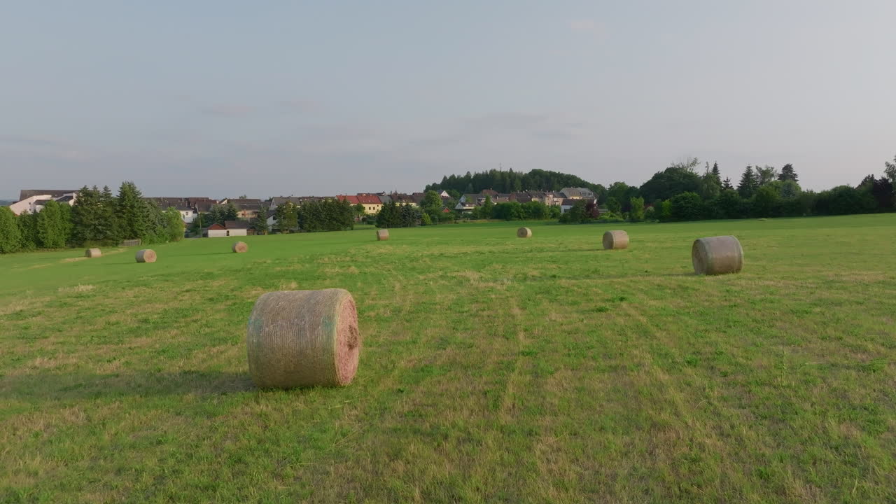 뒷면 에 마을 이 있는 초록색  에  가 있다