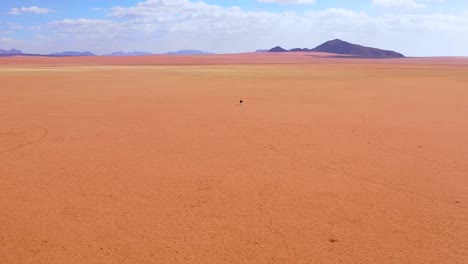 Aerial-as-a-very-lonely-ostrich-walks-on-the-plains-of-Africa-in-the-Namib-desert-Namibia