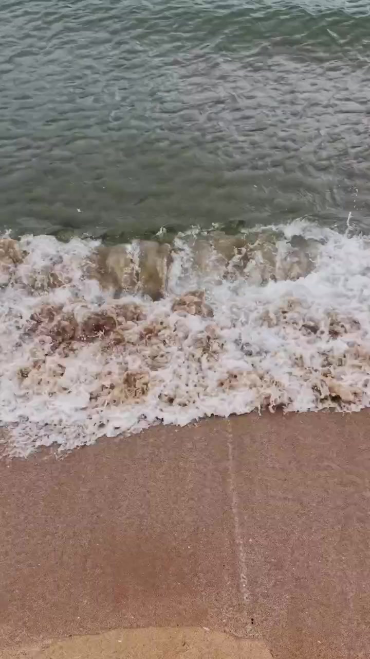 Onde che si infrangono delicatamente sulla spiaggia sabbiosa in una giornata di sole