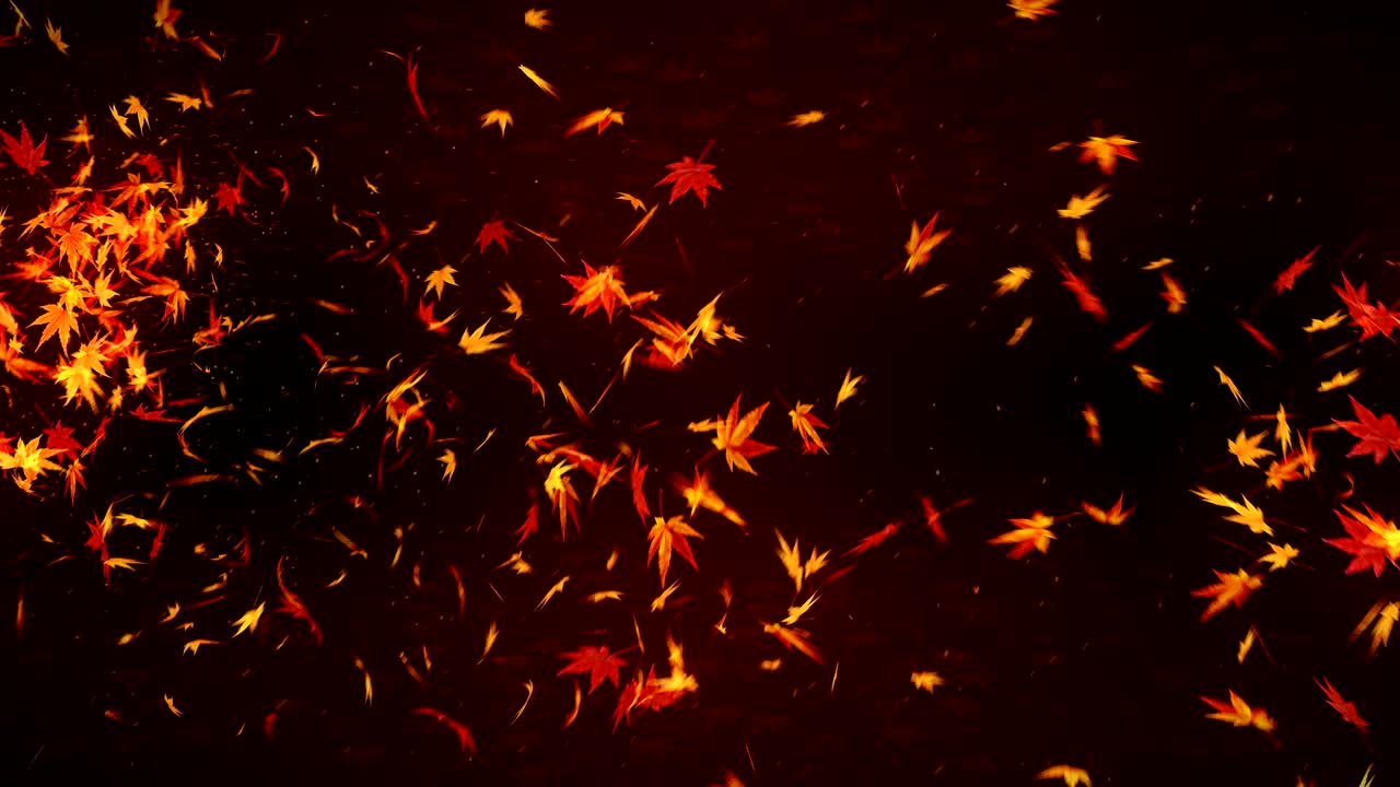 Autumn Leaves Falling on Red Background, Maple Leaf, Loop Glitter Animation,