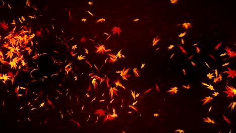 hojas de otoño cayendo sobre un fondo rojo, hoja de arce, animación de brillo de bucle,