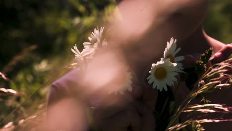 person in a field with daisies