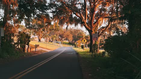 sunset view of a residential street