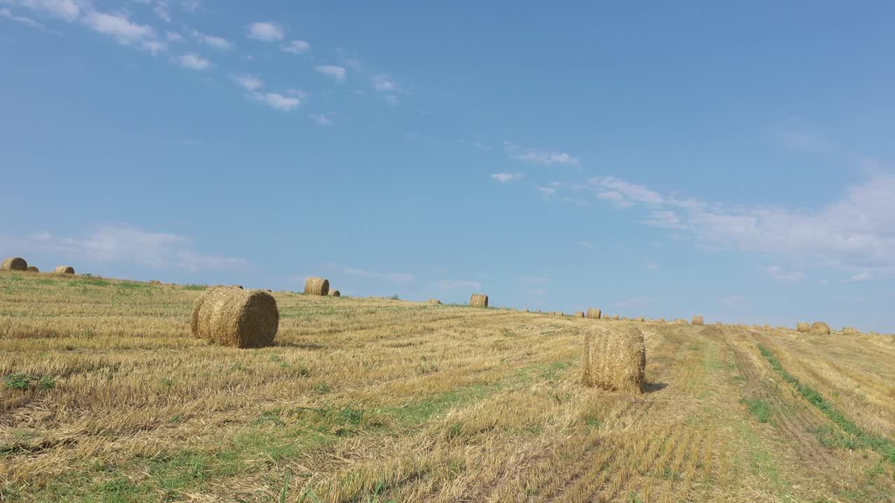 cielo azul sobre el campo cosechado de trigo 4k imágenes