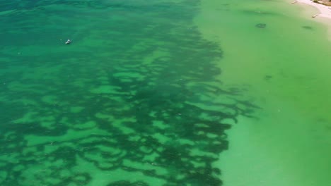 Drone-video-of-a-tropical-beach-showing-intricate-seaweed-patterns-in-the-water