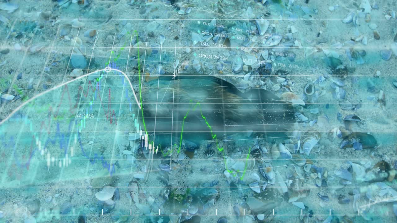 폐기물과 해변에 있는 새에 대한 데이터 처리의 애니메이션