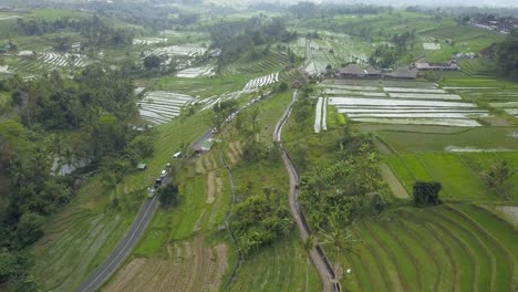 Aerial-view-of-the-Unesco-world-heritage-rice-fields-at-Jatiluwih,-Bali,-Indonesia-on-a-cloudy-day