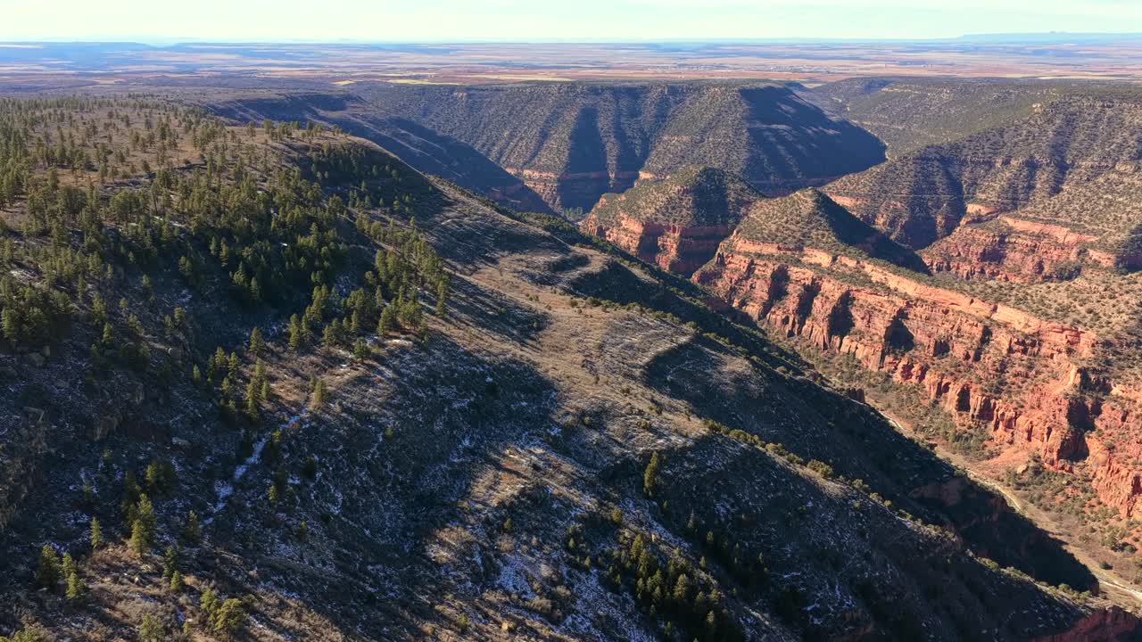 A wide aerial view looks across the vast Dolores River Canyon towards a flat agricultural plateau. Dense Ponderosa pine forests and red rock cliffs frame the winding river deep in the gorge below