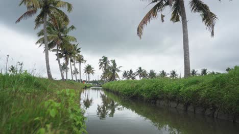 a canal running through the middle of a coconut grove , due to climate change, the water is rising , ready to rain again , dark sky