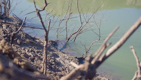 el pantano de sau está sin agua debido a los problemas de extrema sequedad y falta de lluvia.