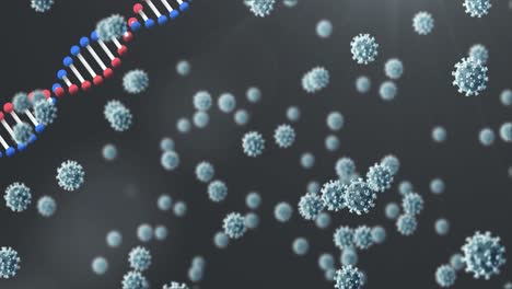 Animation-Eines-DNA-Strangs,-Der-Sich-über-Covid-19-Zellen-Dreht-Und-Auf-Dunklen-Hintergrund-Fällt
