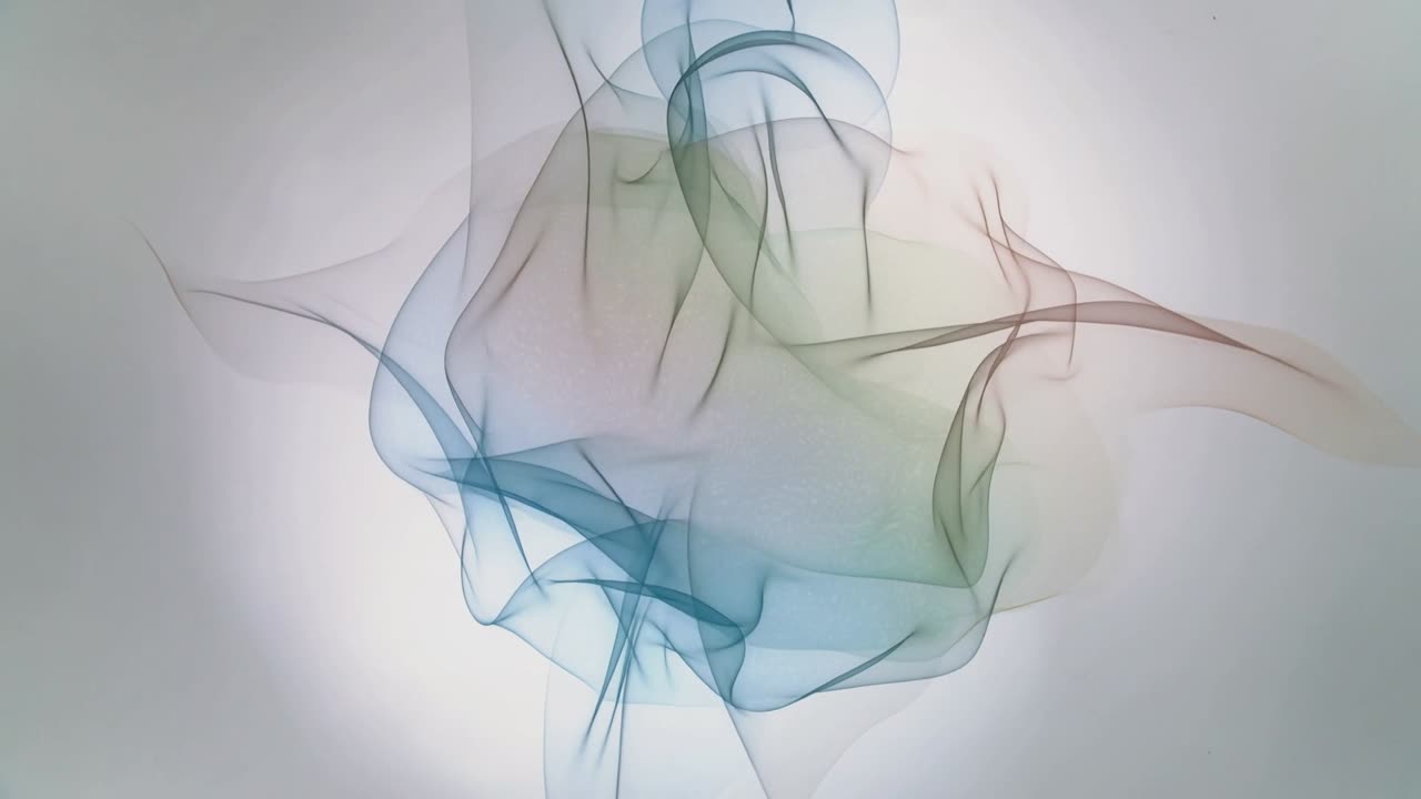 Animation starting, translucent ribbon-like form slowly morphing, elongating, rotating on vignette