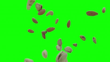 all dry fruits falling on green screen background with alpha matte