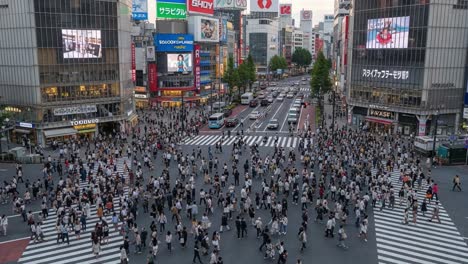 bustling shibuya crossing in tokyo, japan with a large crowd of pedestrians