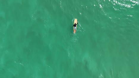 aerial view of surfers in the ocean