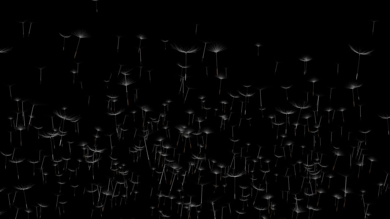 ⁇ 빛 속 에 있는 사탕수수 씨 ⁇  이 신선 한 초록색 아침 배경 을 가로질러 날아가고 있다