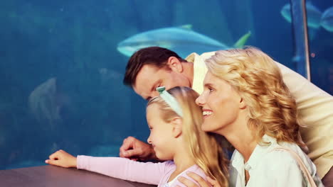 happy family looking at fish