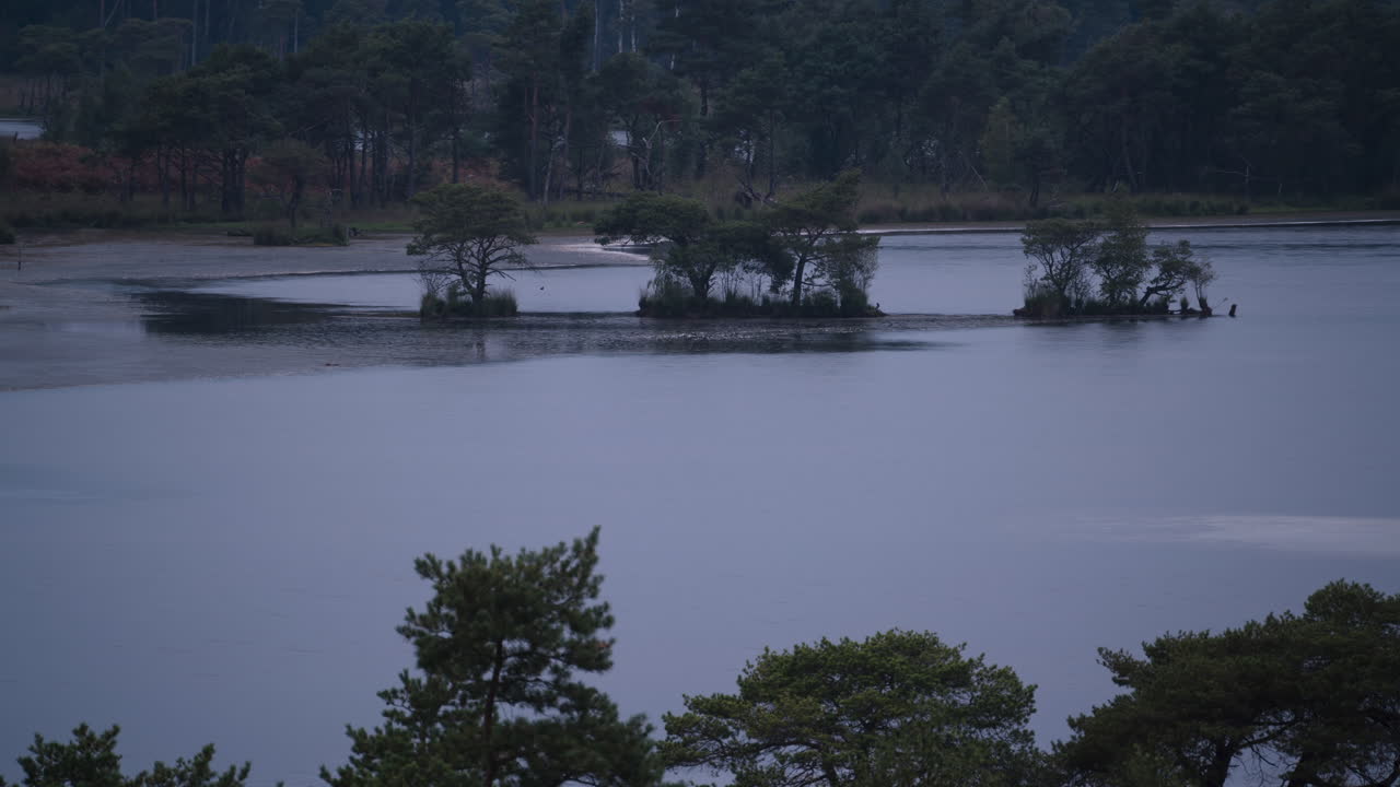 벨기에의 습지 풍경의 낮과 밤의 시간 간격