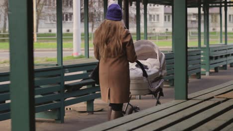 woman walks with child stroller down the street in city landscape