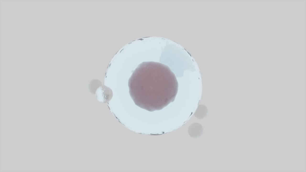 vista microscópica de una célula